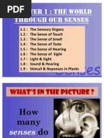 MOGSEC 2012 - ParticipatingCompany  PDF  Malaysia  Nature