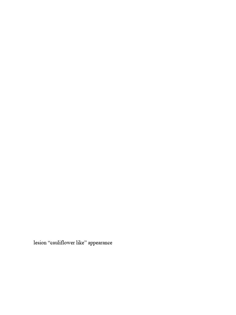 B m epithelial ts 24 pdf carcinoma epithelium