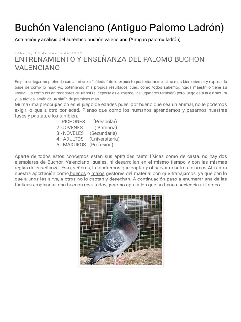 Entrenamiento del Buchón Valenciano | PDF