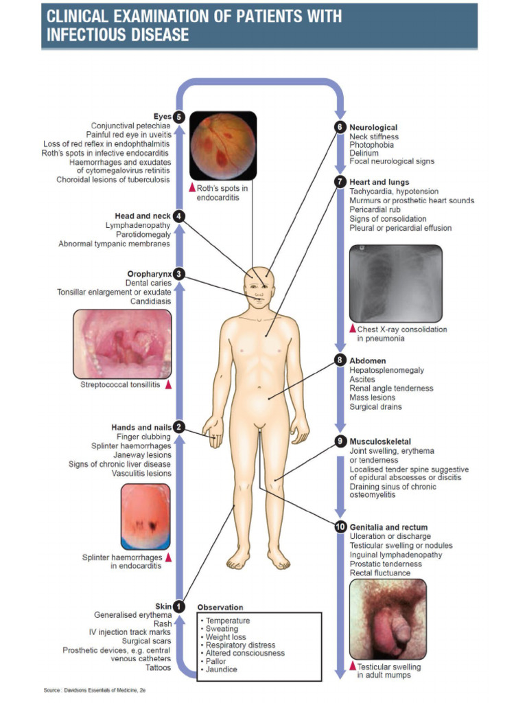 ID Physical | PDF