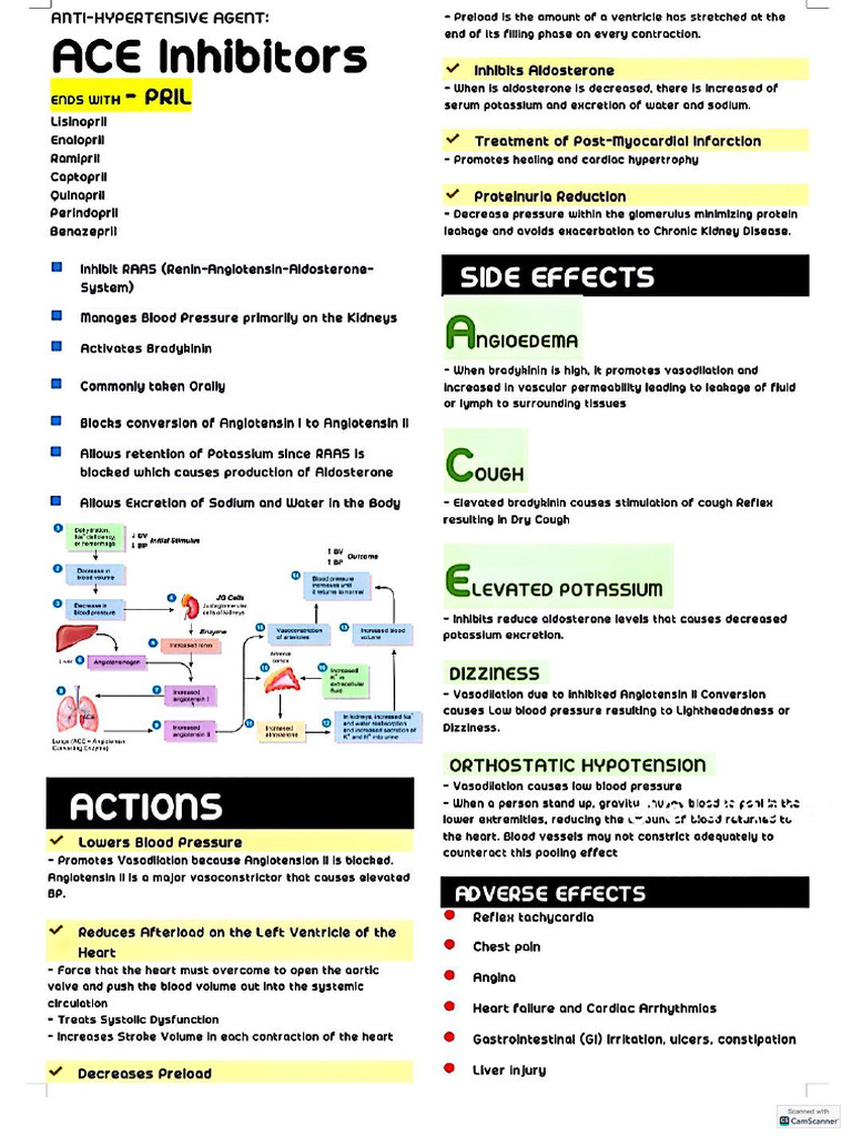 Meds | PDF