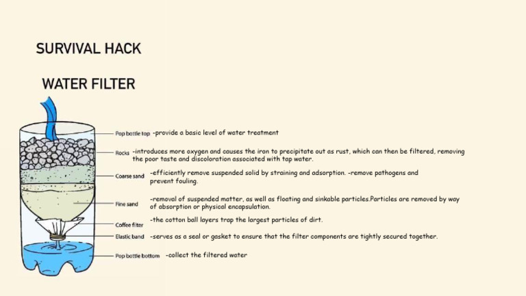Science Diagram | PDF