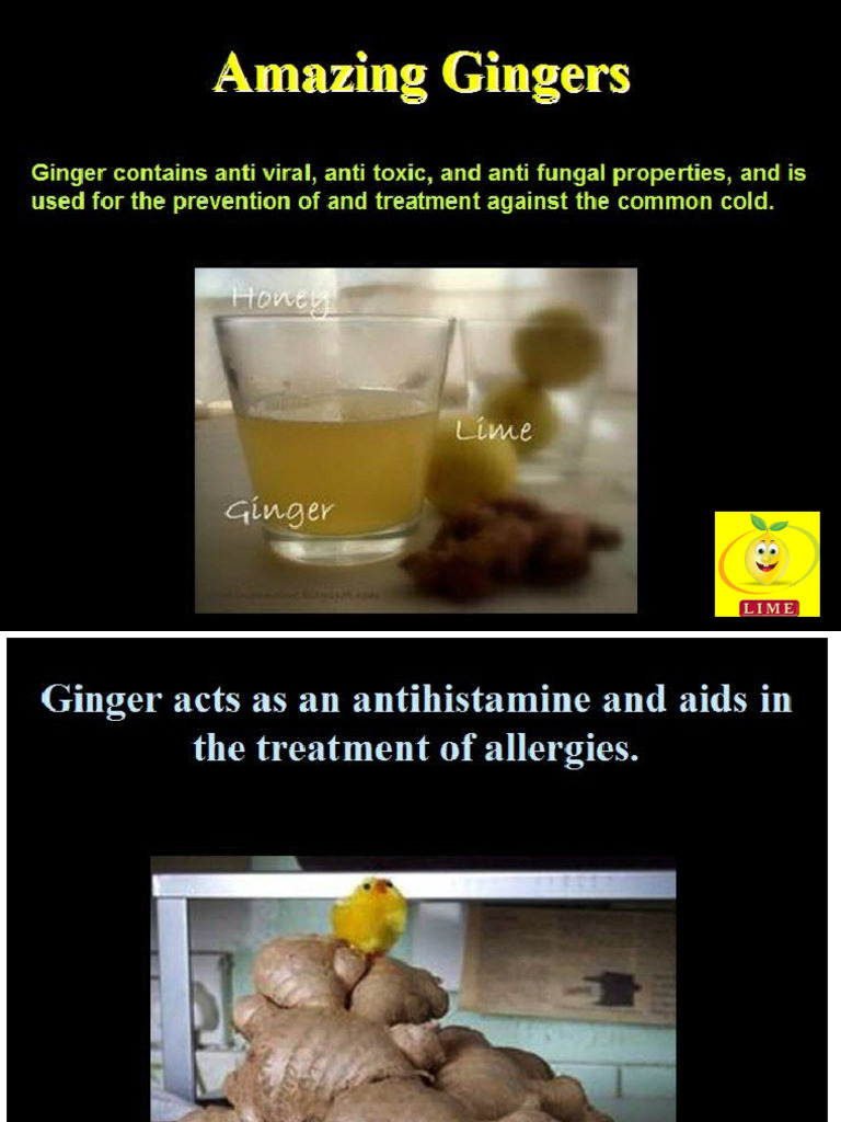Ginger's Effects on Menstrual Cycle | PDF