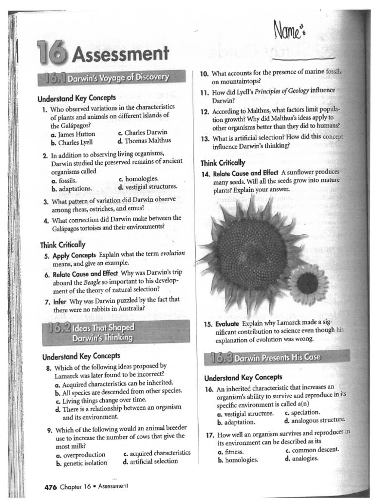 Ch16 17 Textbook Assignment 1 | PDF