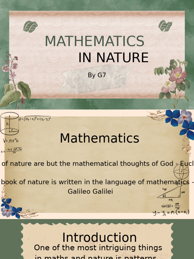 Maths in Nature g7 | PDF | Trigonometry | Symmetry