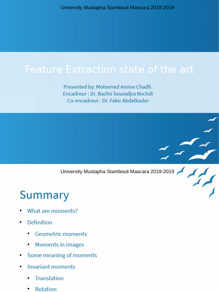 Feature Extraction Detail | PDF | Mathematics | Mathematical Analysis
