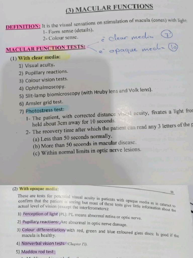 Macular Function | PDF