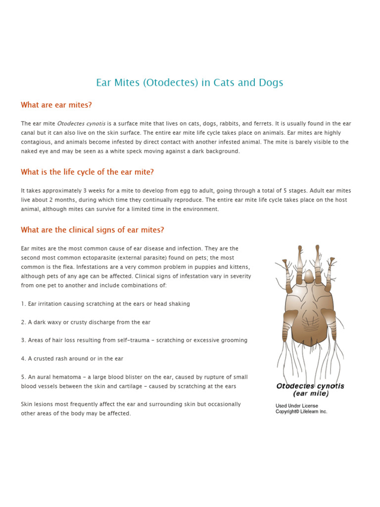Ear Mites in Cats and Dogs | PDF | Diseases And Disorders | Medical ...