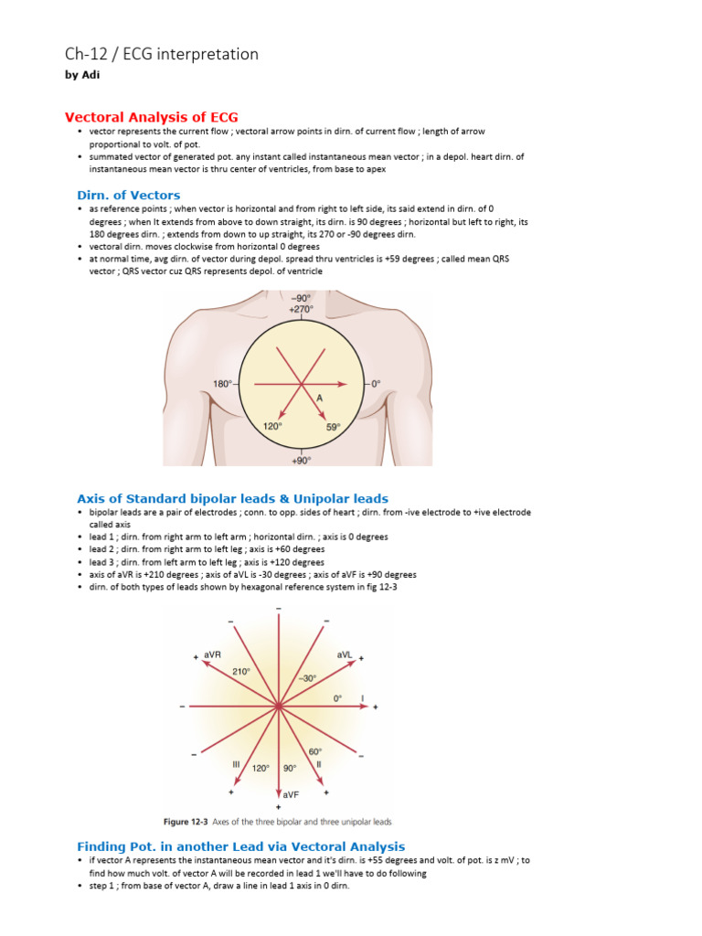 Vectoral Analysis of Electrical Flow of Heart | PDF | Atrium (Heart ...