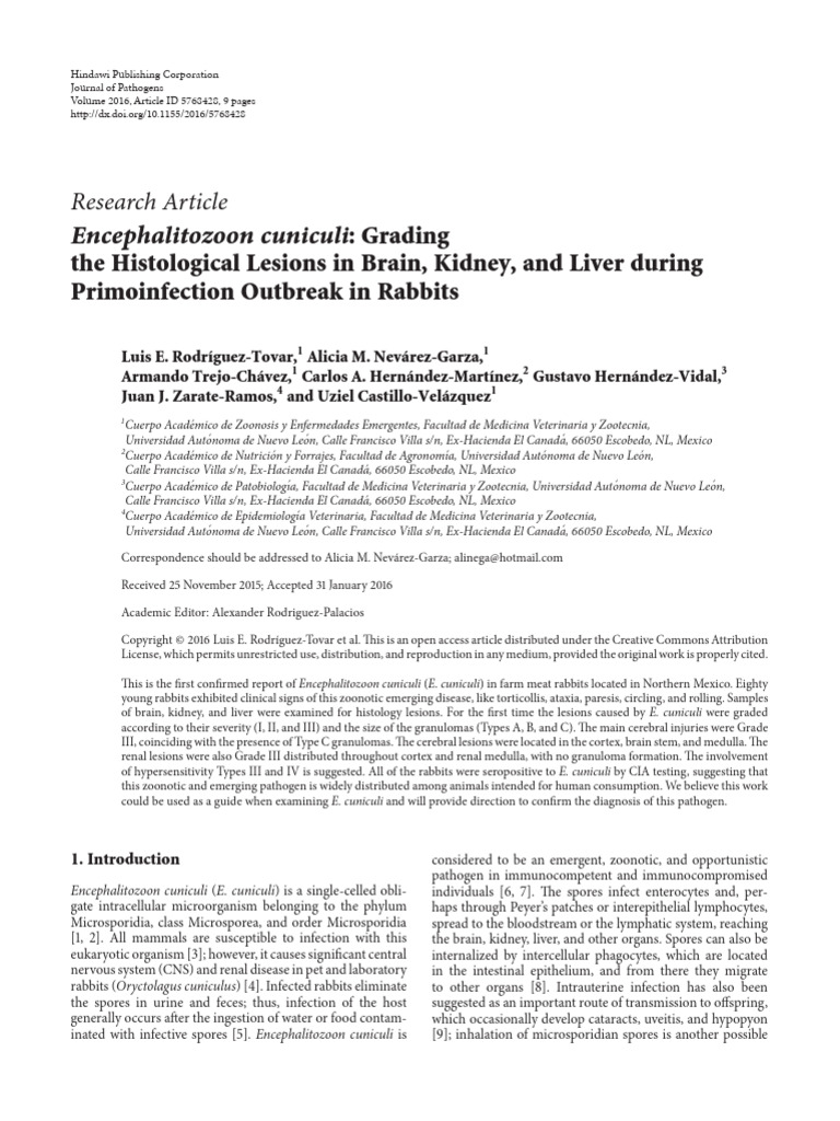E. cuniculi Lesion Grading in Rabbits | PDF | Staining | Medical ...