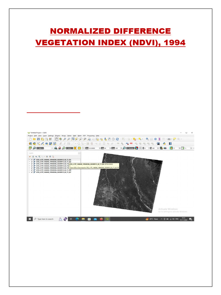 NDVI Analysis of Delhi Vegetation 1994 | PDF