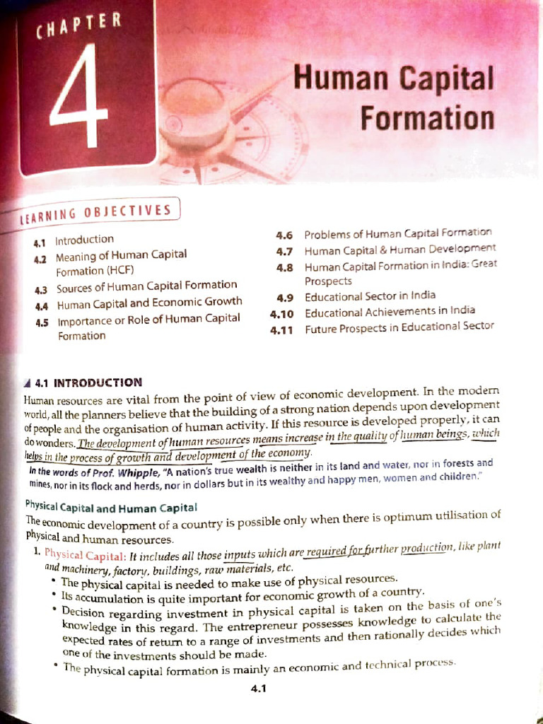 Human Capital Formation in India Explained | PDF | Cost Of Living ...