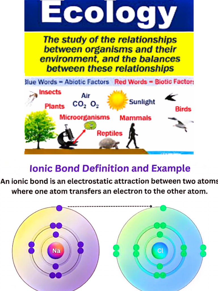Definitions (What Is Science) | PDF