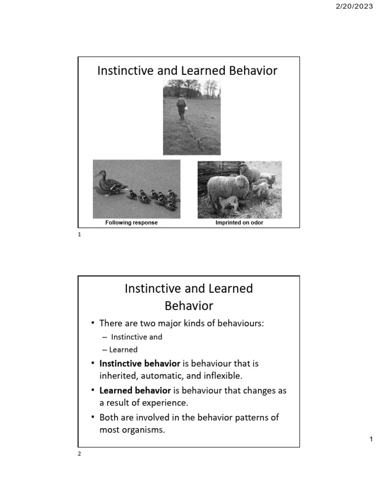 Sm Anim Behav 3 Pdf Learning Instinct