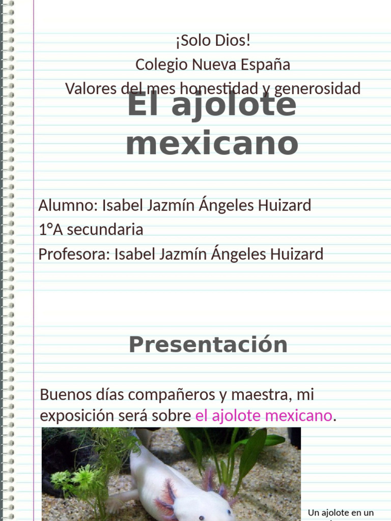 Ejemplo de Presentación para Exposición | PDF