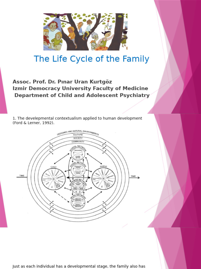 Family Life Cycle Stages Explained | PDF | Family | System