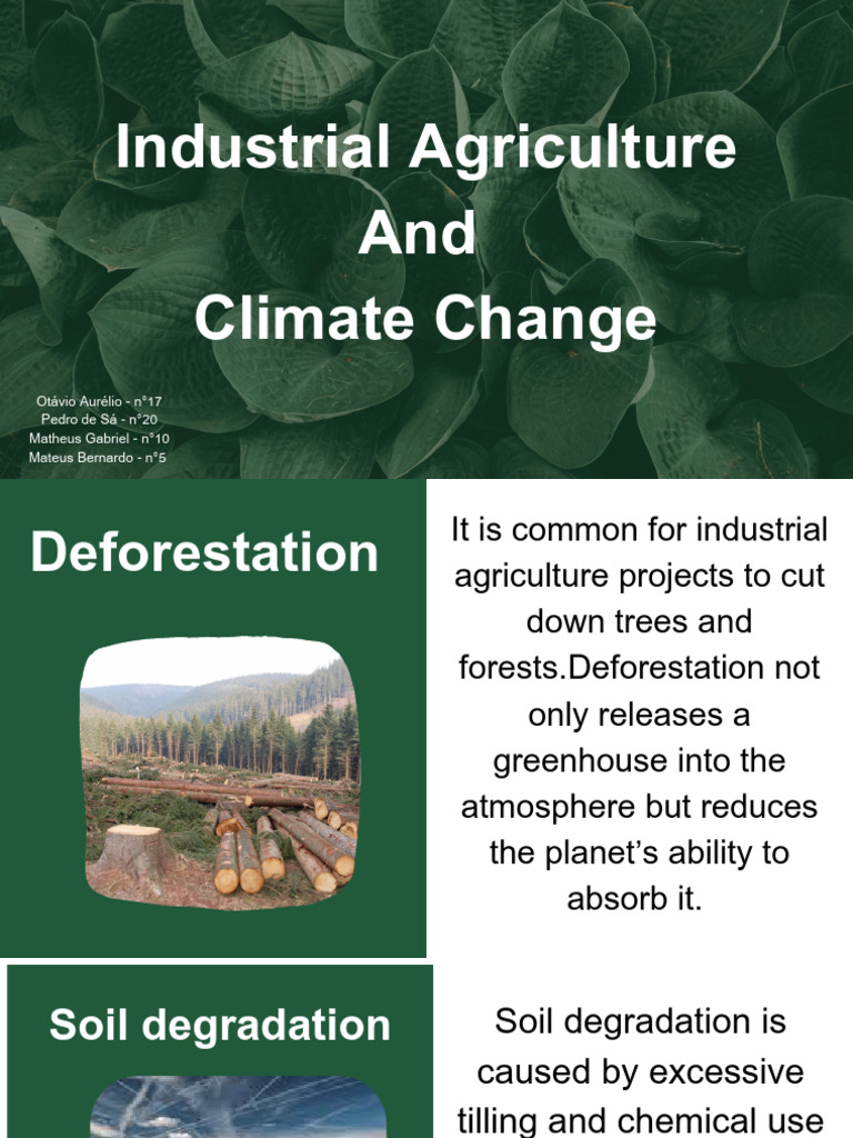 Deforestation | PDF | Agriculture | Climate Change