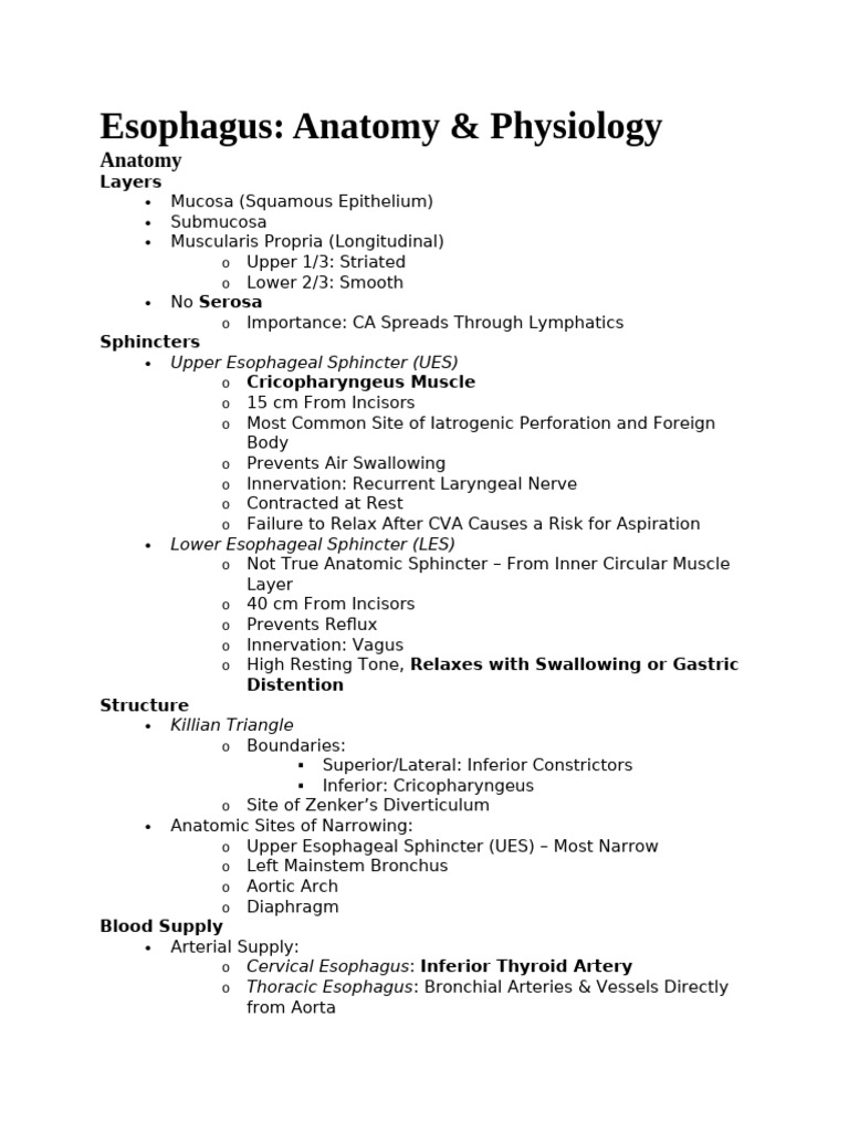 Anatomy and Physiology of the Esophagus | PDF | Esophagus ...