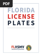 Florida License Plate Overview | PDF