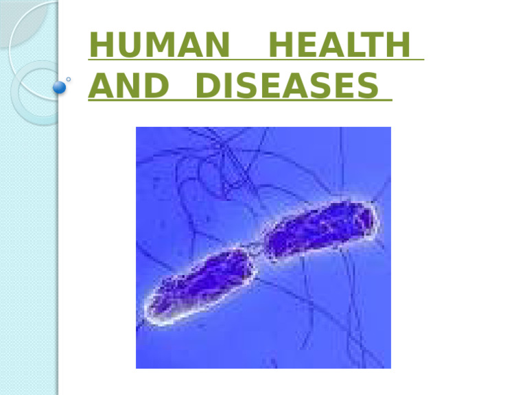 Human Health | PDF