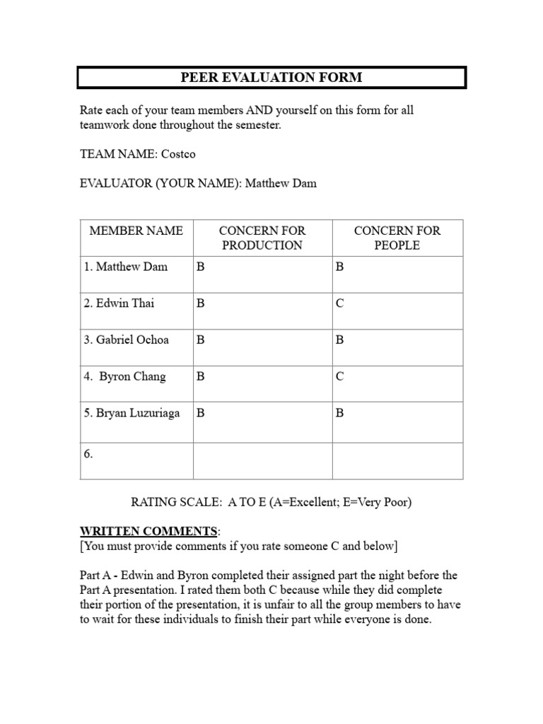 Teamwork Peer Evaluation Form | PDF
