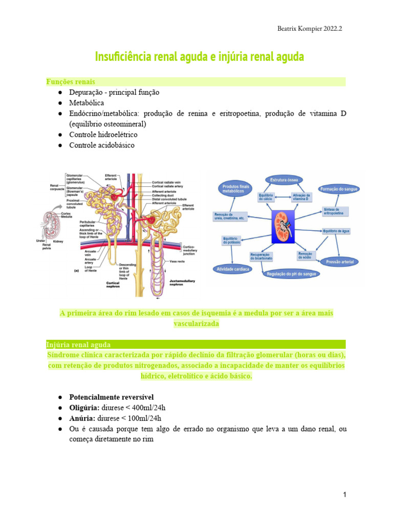 Insuficiência Renal Aguda e Injúria Renal Aguda | PDF | Especialidades ...