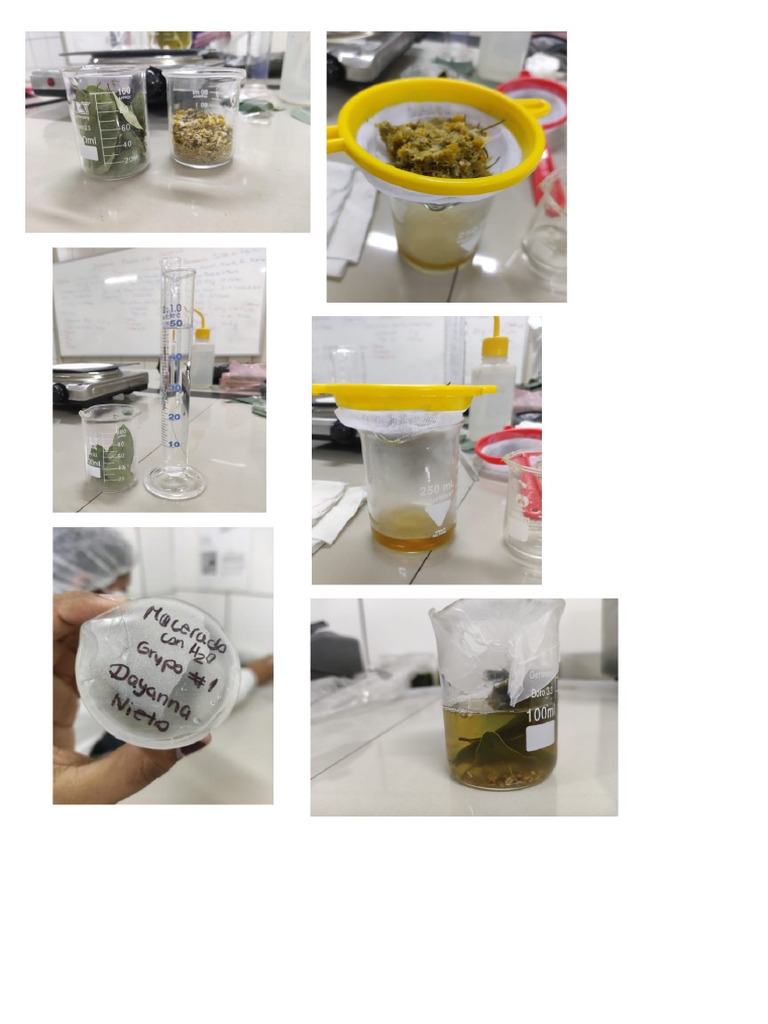 Infusión | PDF
