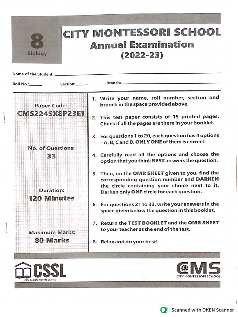 CL 8 Final Papers | PDF