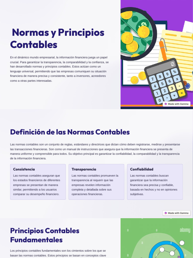 Normas y Principios Contables Esenciales | PDF | Contabilidad | Business