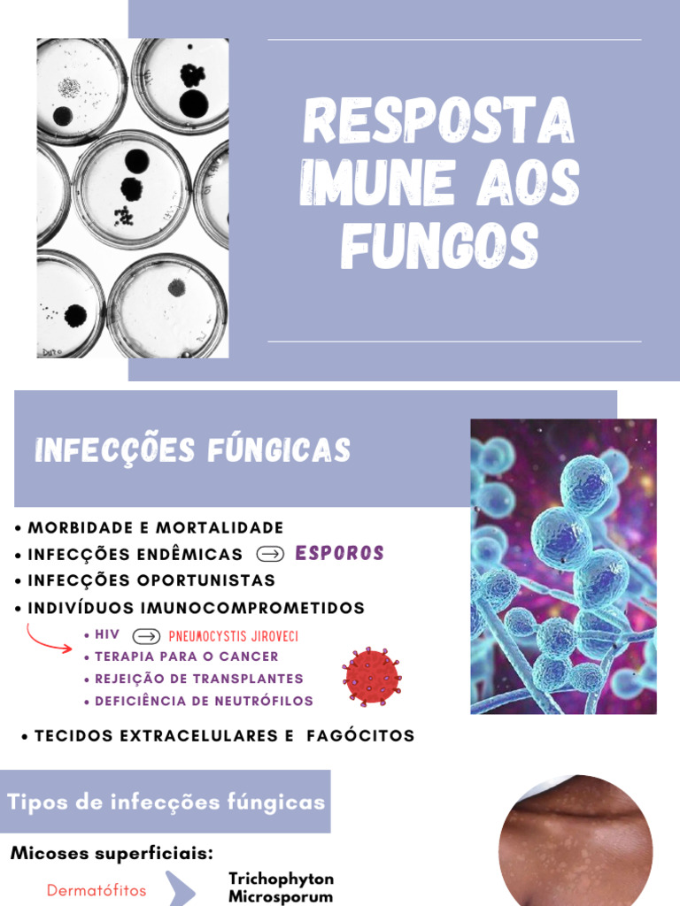 Resposta Imune a Infecções Fúngicas | PDF | Sistema imunológico | Fagócito