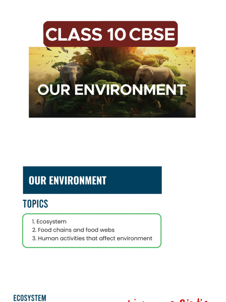 Ecosystem Dynamics & Ozone Layer Impact | PDF | Food Web | Natural ...