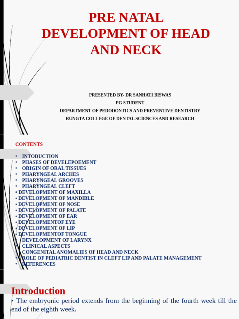 PRE NATAL DEVELOPMENT OF HEAD AND NECK - Copy | PDF | Human Nose | Tongue