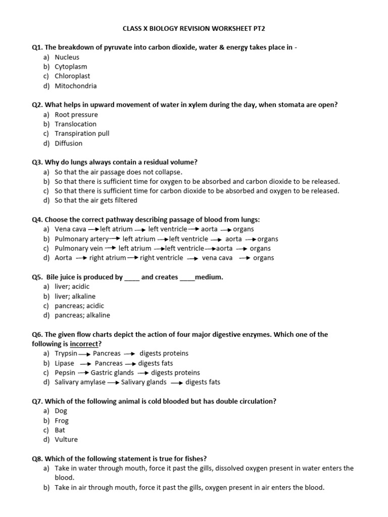Rev WS Bio X PT2 2425 | PDF | Heart | Blood