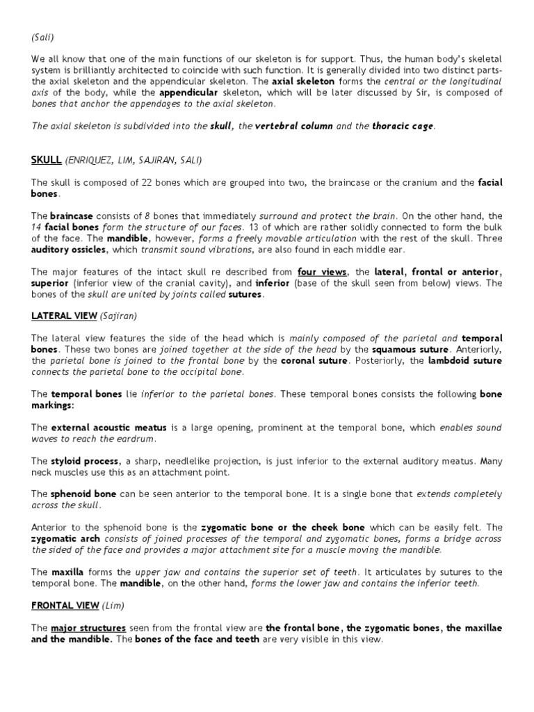 Axial Skeleton Script | PDF | Vertebra | Vertebral Column