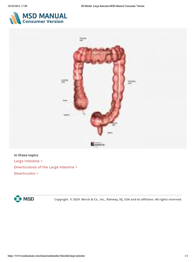 3D Model - Large Intestine-MSD Manual Consumer Version | PDF