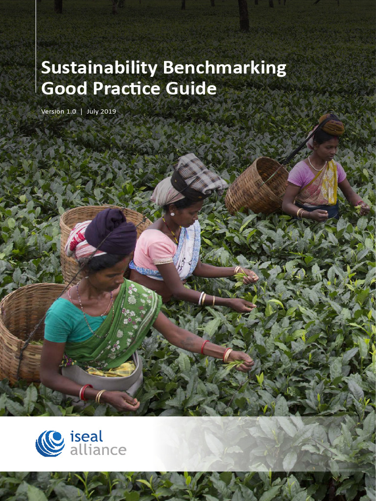 3 Sustainability Benchmarking Good Practice Guide Author Iseal