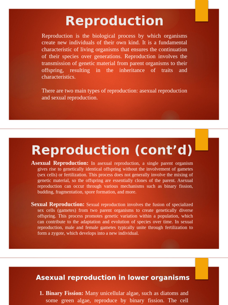 Types of Reproduction in Organisms | PDF | Sexual Reproduction ...