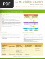 Microbiology case study 12 elvis