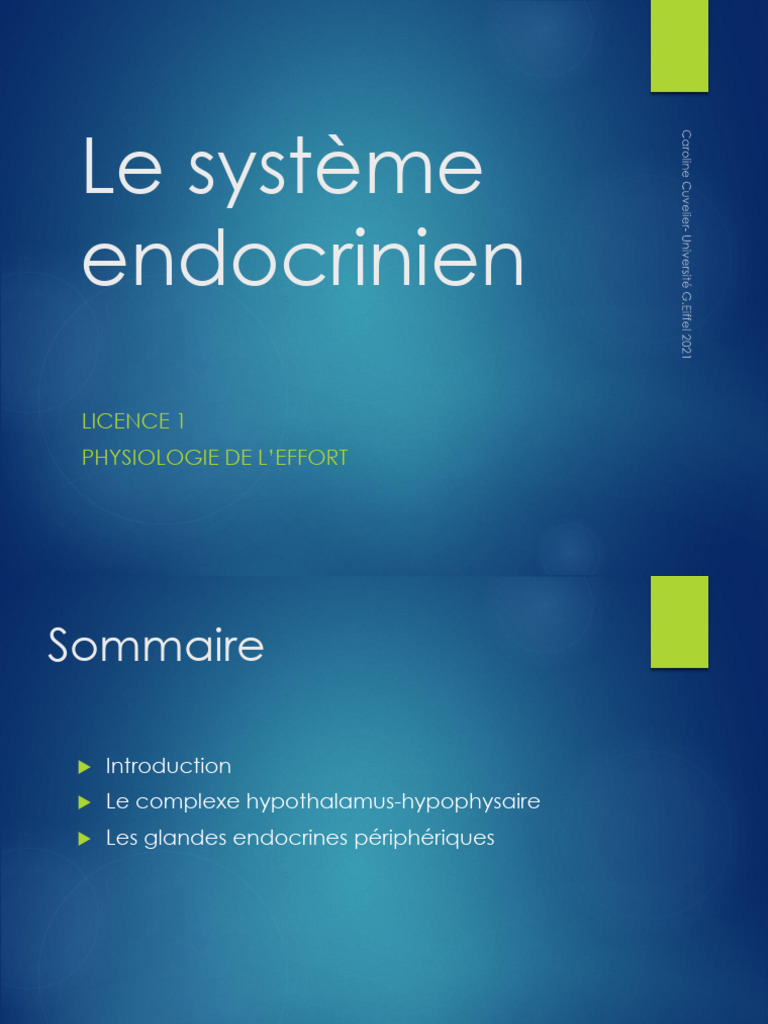 Système endocrinien et glandes humaines | PDF | Hormone | Glande surrénale