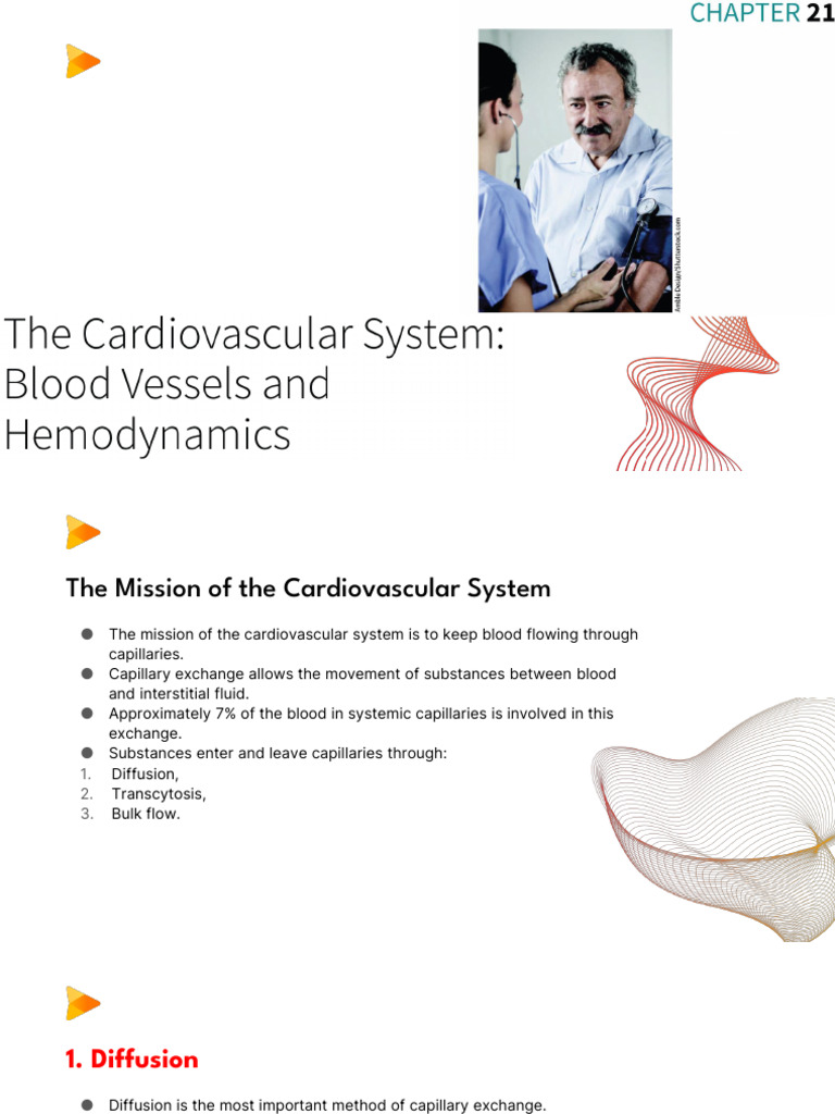 Chapter 21 - Cardiovascular - Vessels and Hemodymanics | PDF ...