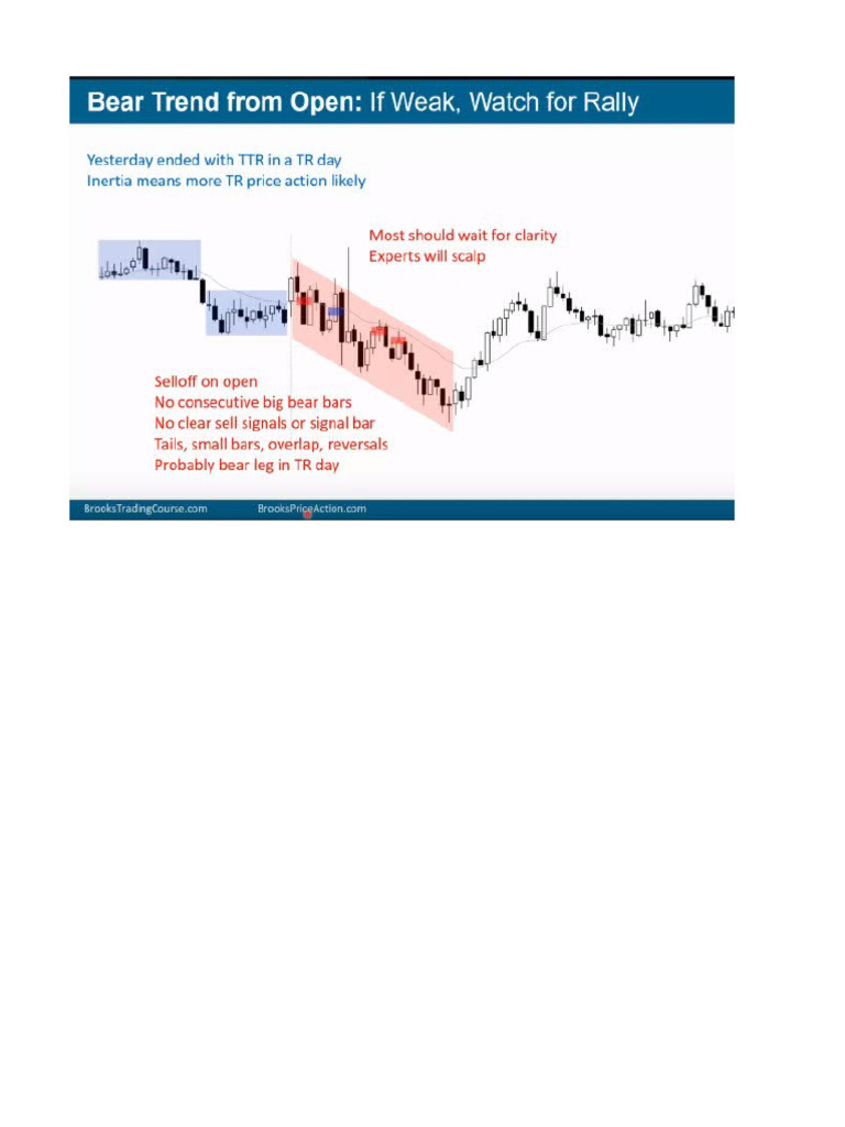 Brooks Trading Notes 49B | PDF