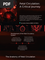 Fetal Circulation Flow Chart | PDF