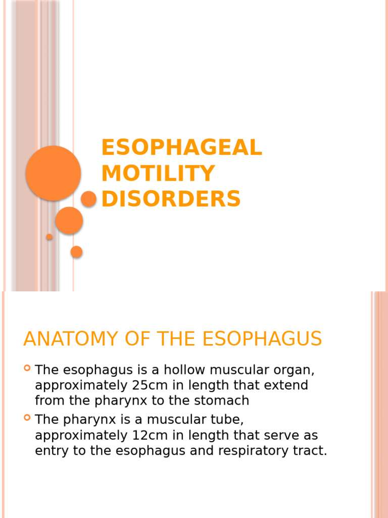 Esophagus visual data 2