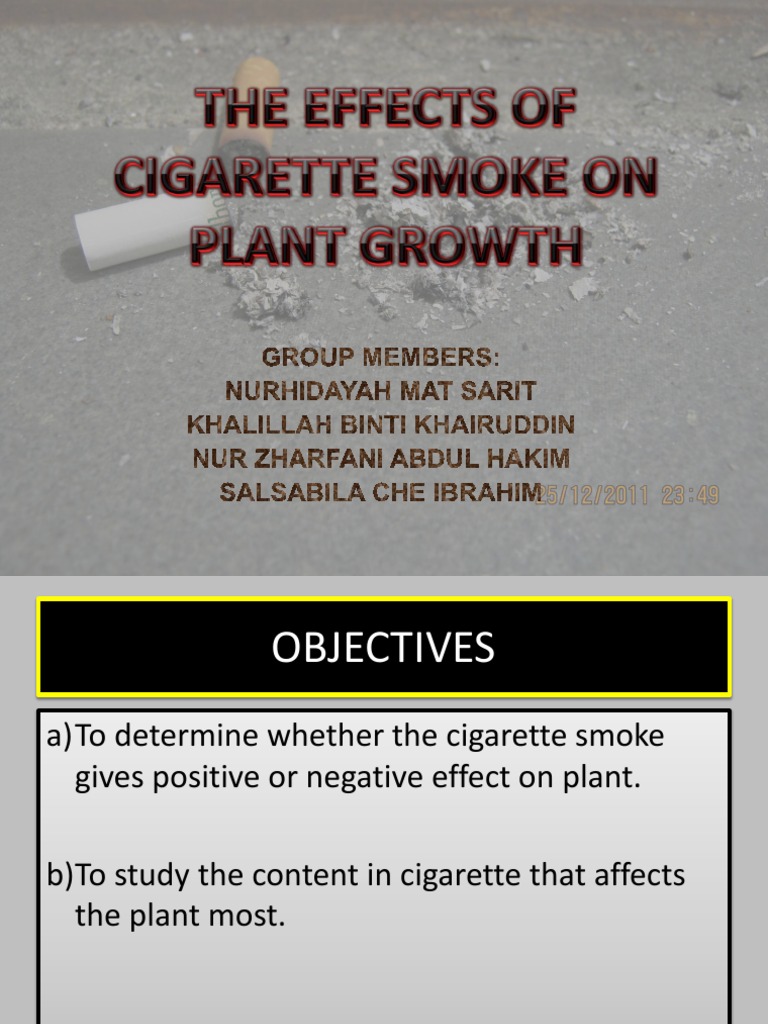 is cigarette smoke bad for plants Do my cannabis mind me smoking near them? Tobacco and the environment