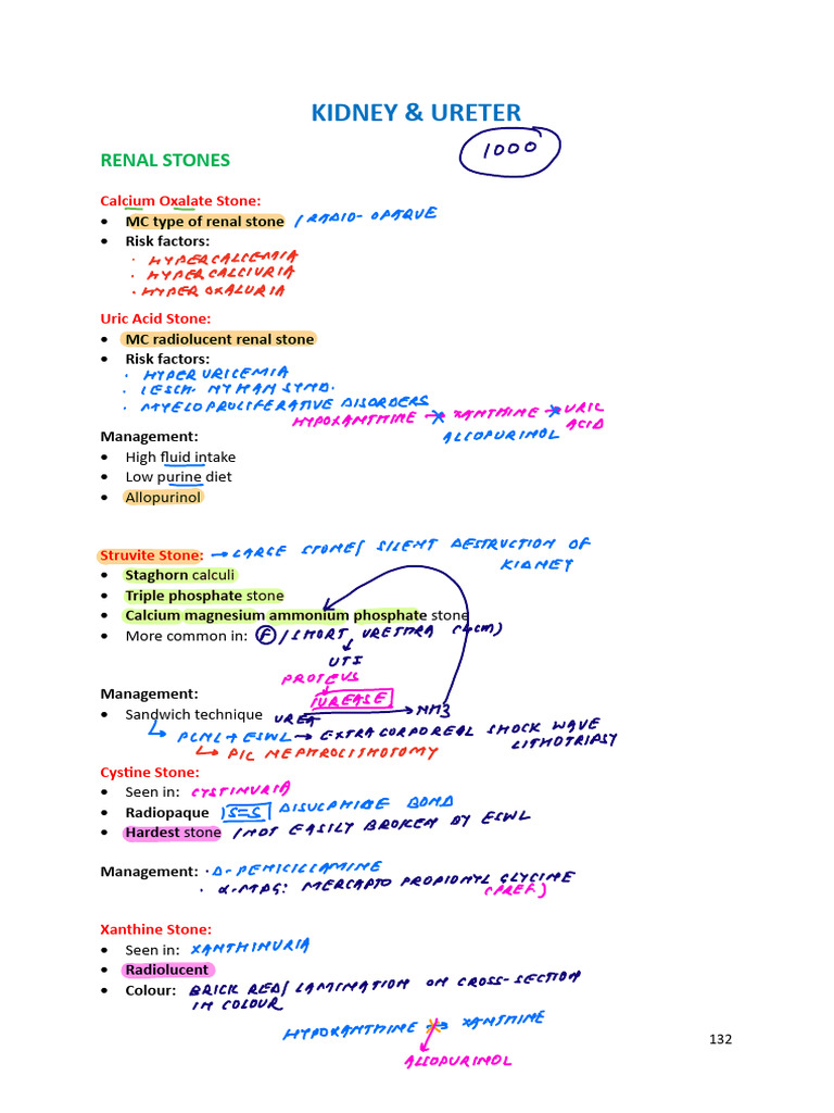 4 Urology (2) - 241016 - 011258 | PDF | Genitourinary System | Medical ...