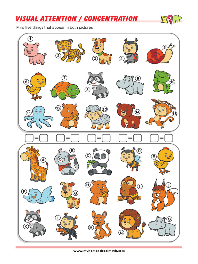 Visual Attention: Find 5 Similarities | PDF