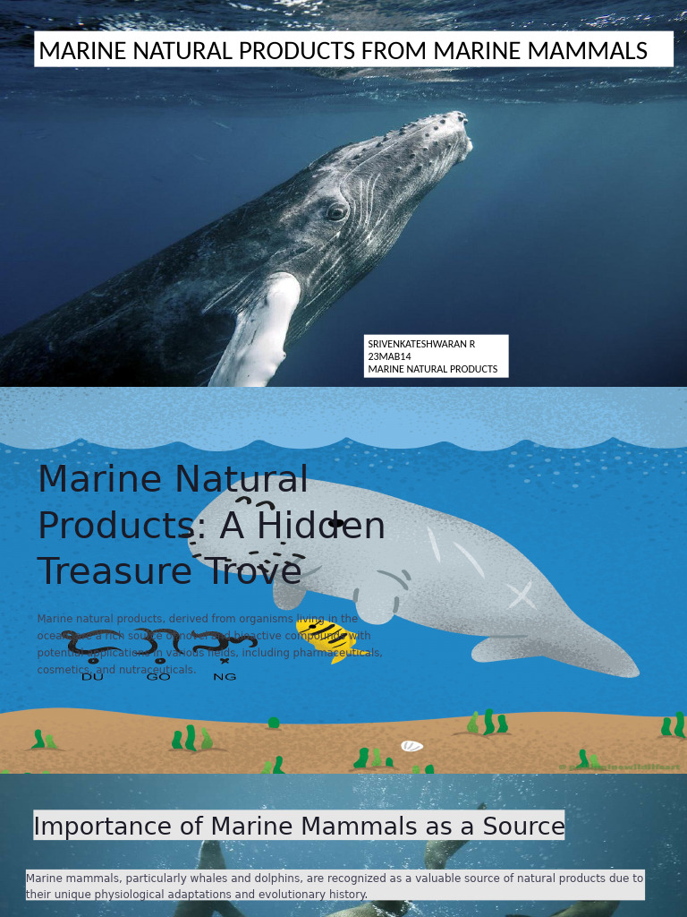 Marine Mammals: Bioactive Natural Products | PDF | Natural Products ...