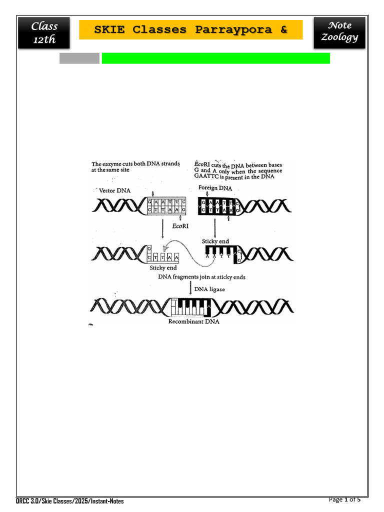 Biotechnology & Its Applications | PDF | Polymerase Chain Reaction ...