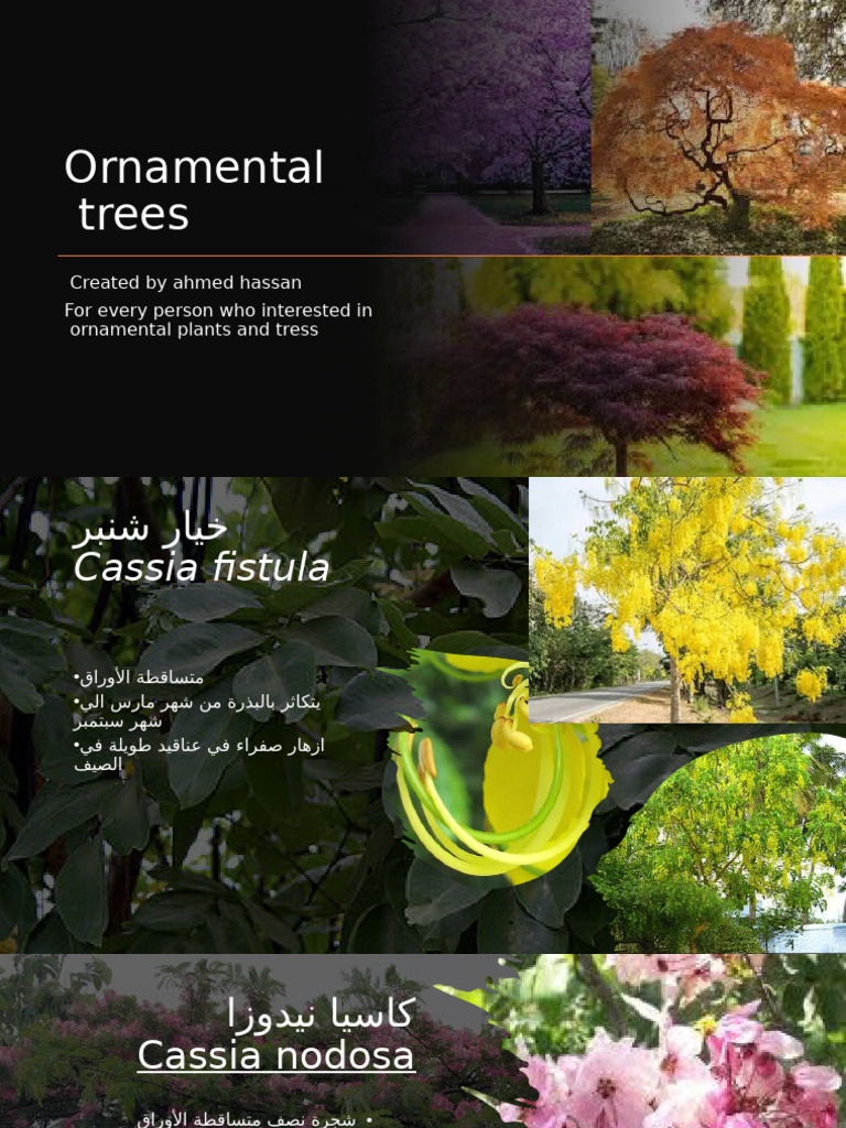 Ornamental Trees | PDF