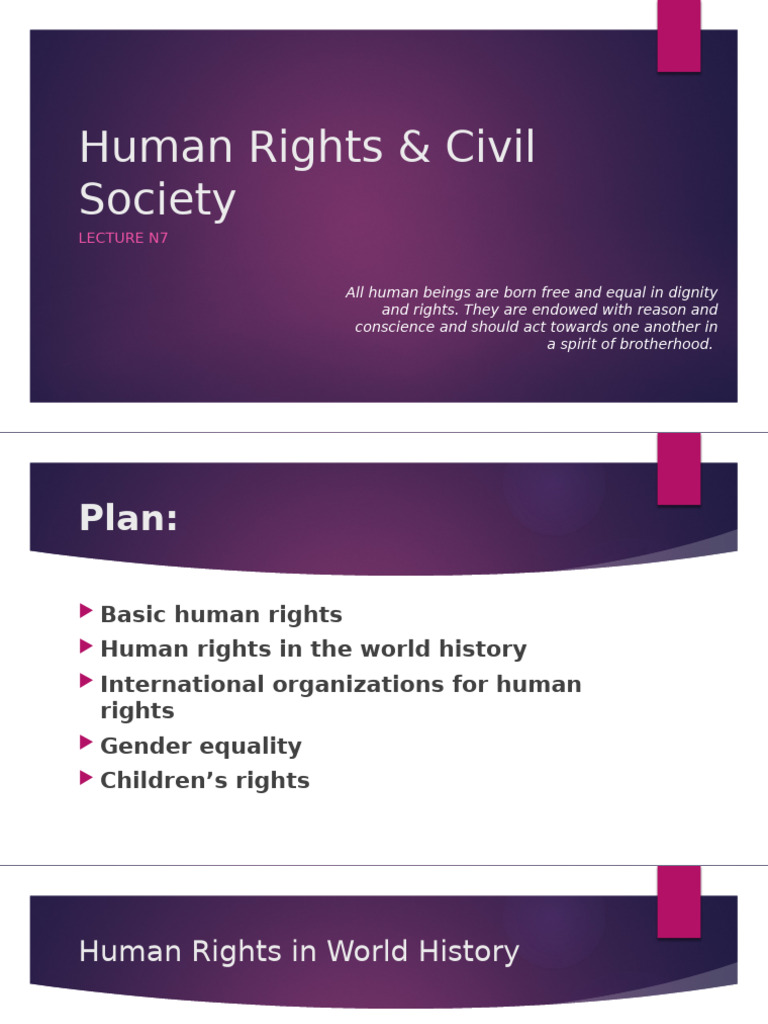 Lecture 7 - Human RIghts & Civil Society | PDF | Human Rights ...
